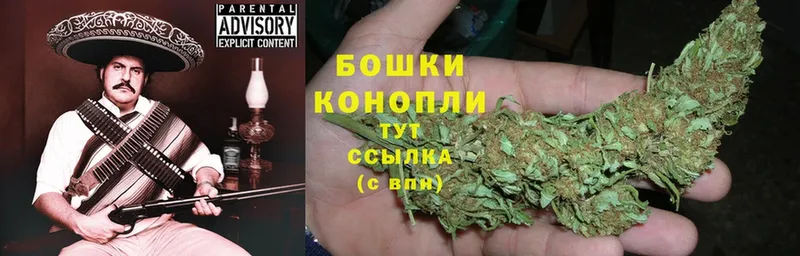 Шишки марихуана OG Kush  Задонск 